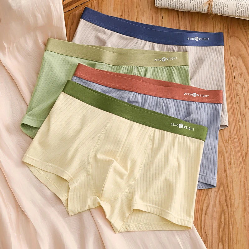 Untitled Feb11_12:42