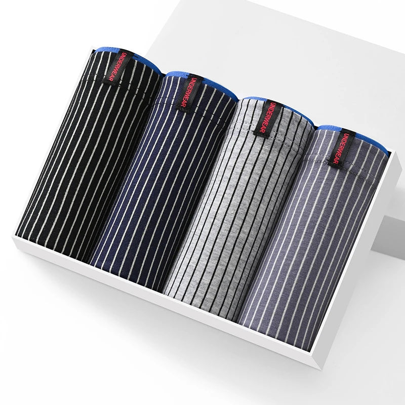 Untitled Feb11_12:42