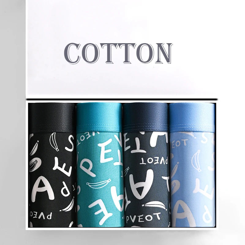 Untitled Feb11_12:42