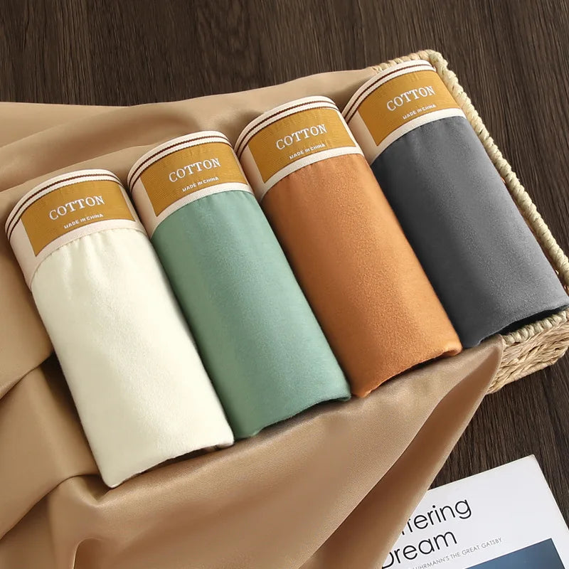 Untitled Feb11_12:42