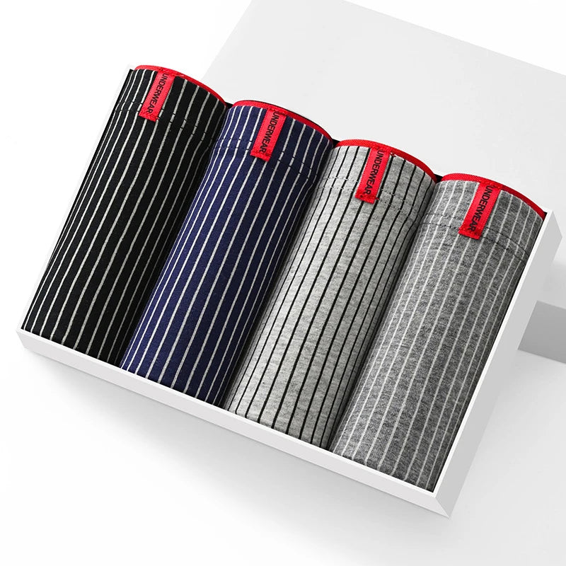 Untitled Feb11_12:42