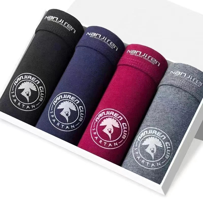 Untitled Feb11_12:42