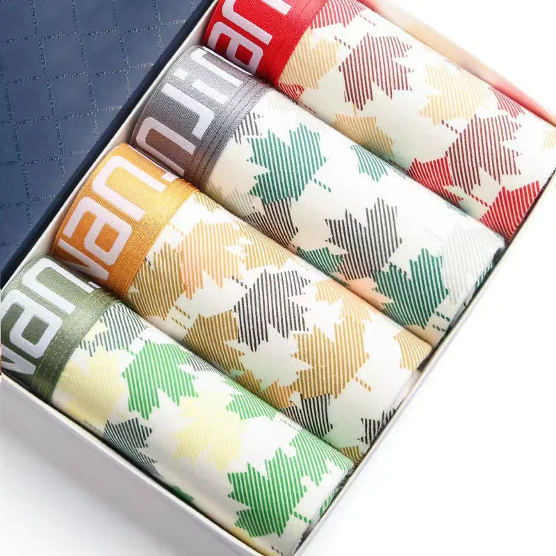 Untitled Feb11_12:42