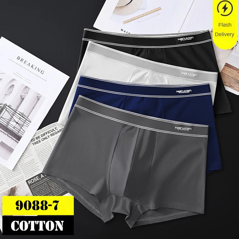 Untitled Feb11_12:42